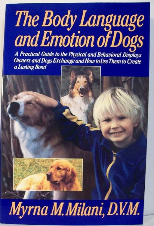 The Body Language and Emotion of Dogs