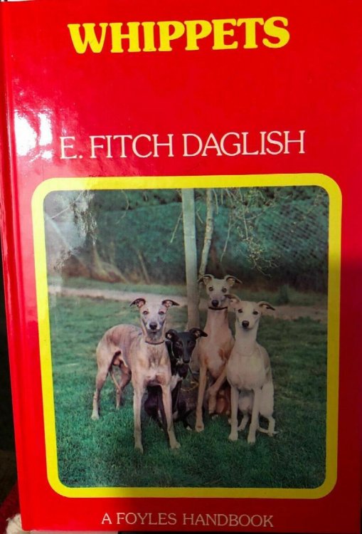 Whippets