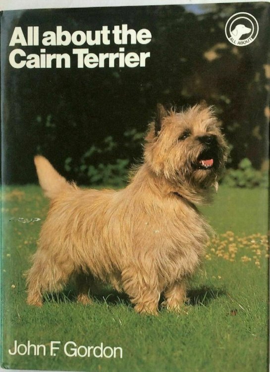 All About the Cairn Terrier