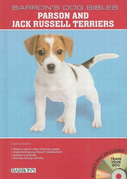 Parson and Jack Russell Terriers