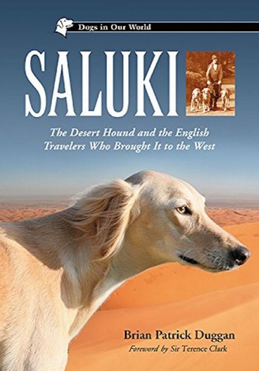 Saluki: The Desert Hound and the English Travelers Who Brought It to the West