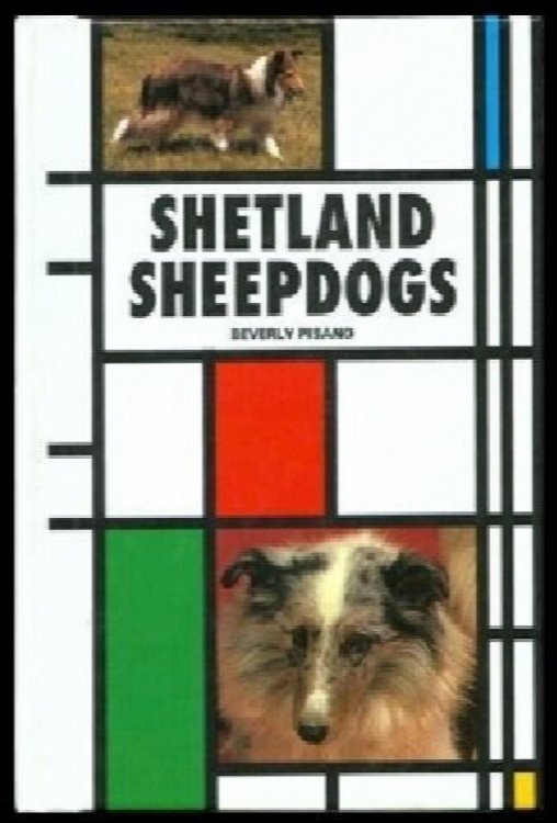 Shetland Sheepdog