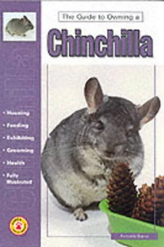 The Guide to Owning a Chinchilla
