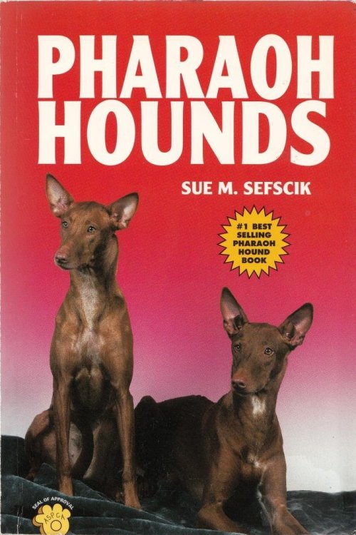Pharaoh Hounds