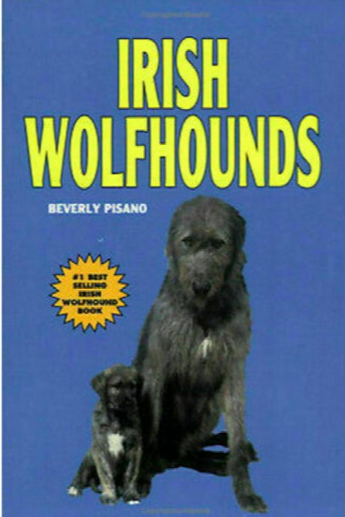 Irish Wolfhounds