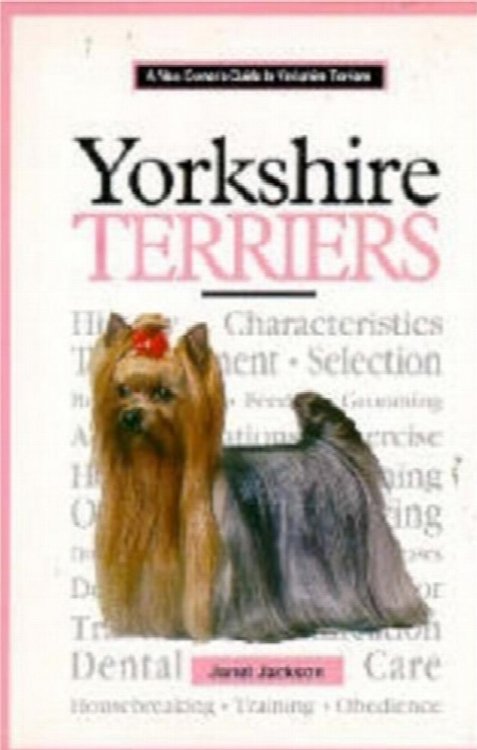 Yorkshire Terriers: A New Owner's Guide