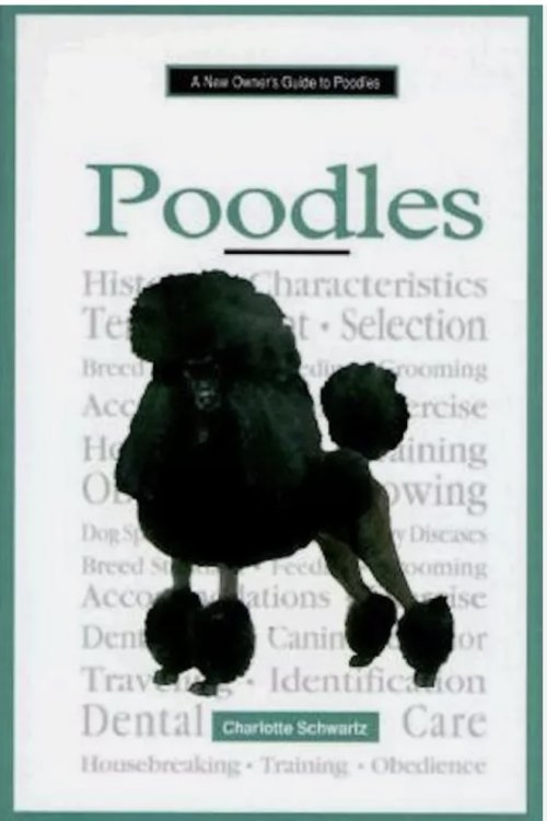 A New Owner's Guide to Poodles