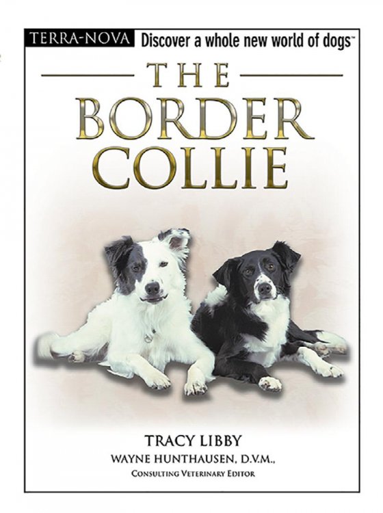 The Border Collie : with Training DVD