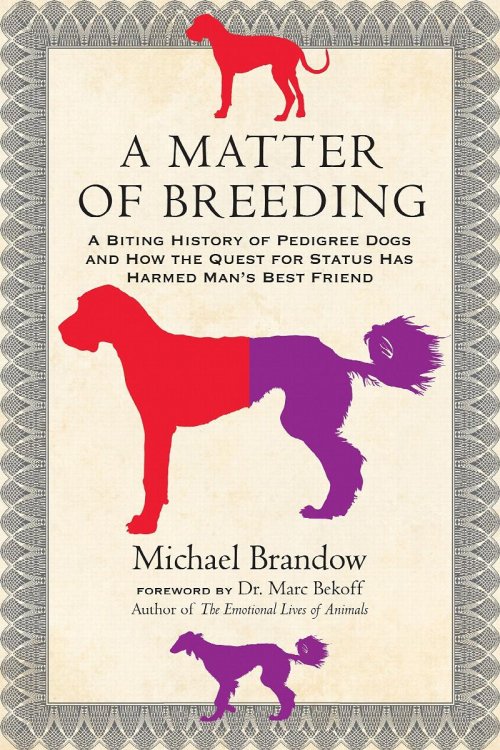 A Matter of Breeding: A Biting History of Pedigree Dogs