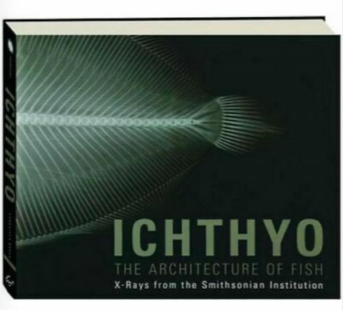Ichthyo : The Architecture of Fish, Xrays from the Smithsonian