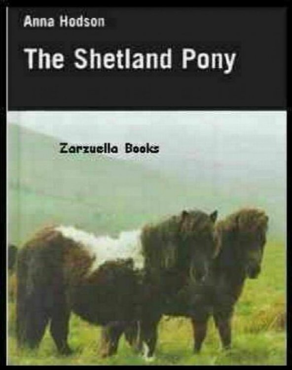 The Shetland Pony