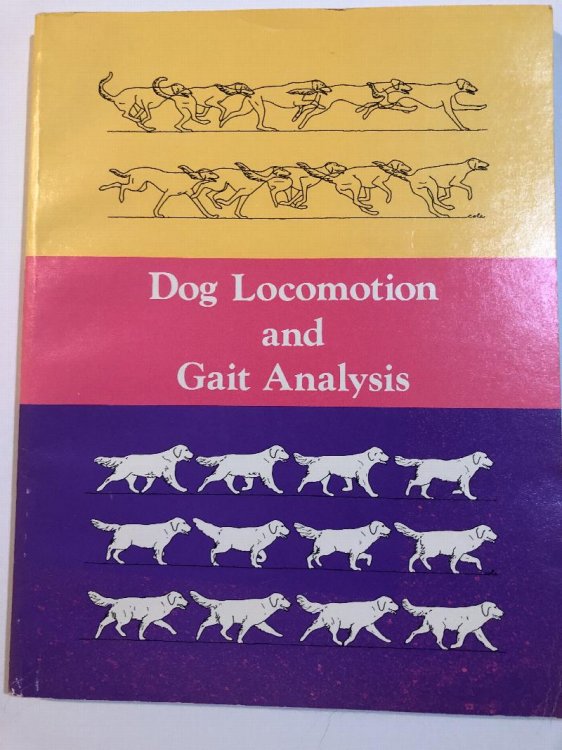 Dog Locomotion and Gait Analysis