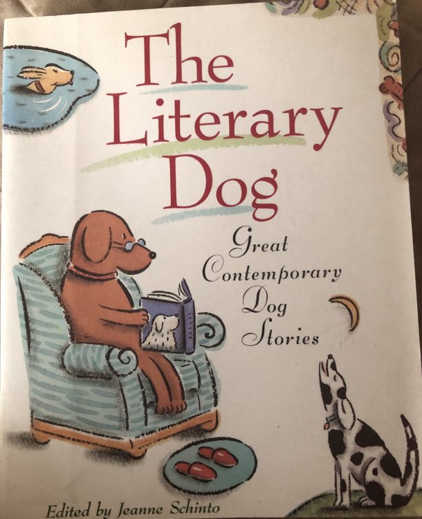 The Literary Dog: Great Contemporary Dog Stories