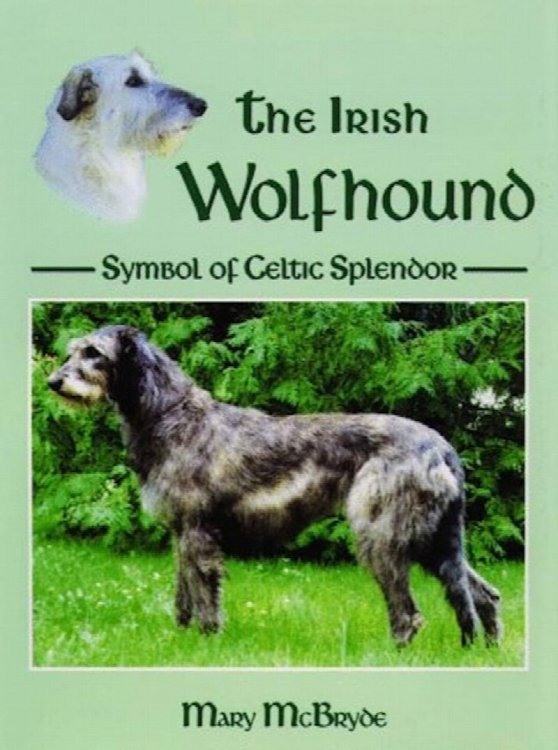 The Irish Wolfhound, Symbol of Celtic Splendor