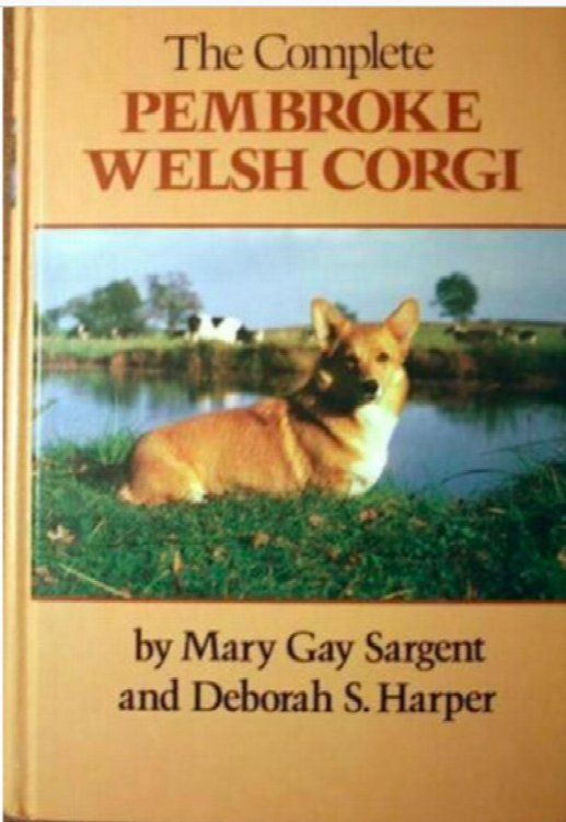 The Pembroke Welsh Corgi