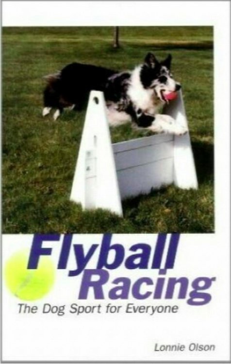 Flyball Racing : The Dog Sport for Everyone