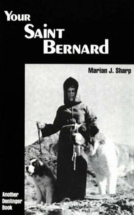 Your St Saint Bernard
