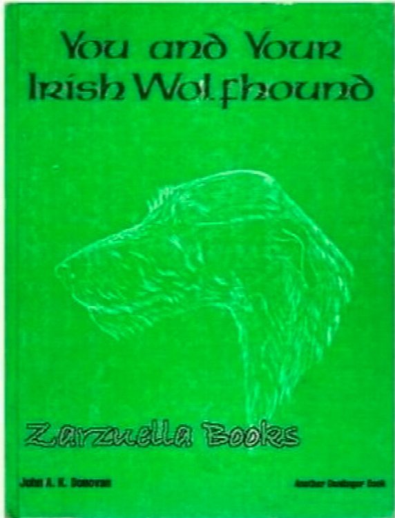 You and Your Irish Wolfhound