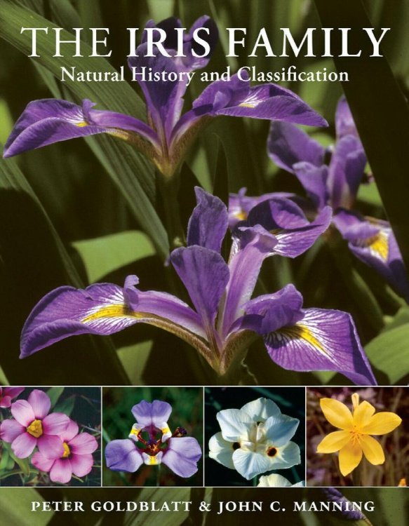 The IRIS Family : Natural History and Classification