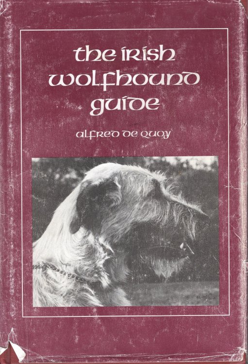 The Irish Wolfhound Guide