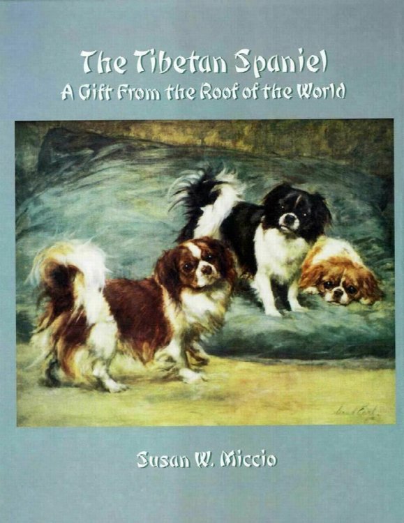 The Tibetan Spaniel: A Gift From the Roof of the World