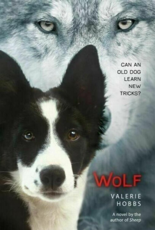 WOLF