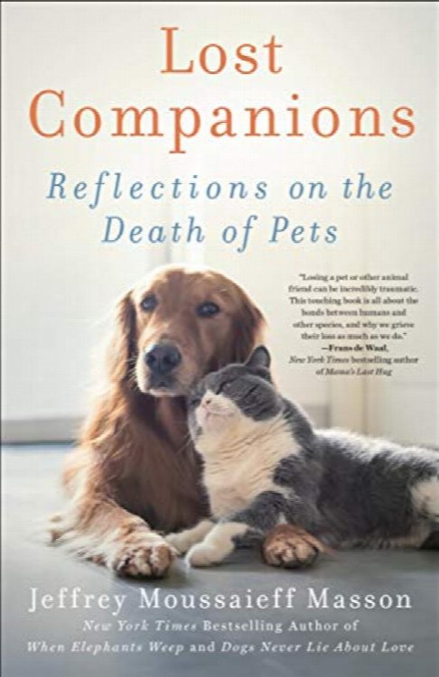Lost Companions : Reflections on the Death of Pets