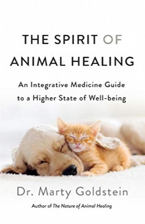 The Spirit of Animal Healing: An Integrative Medicine Guide