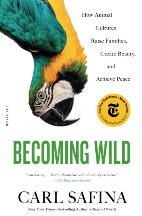 Becoming Wild