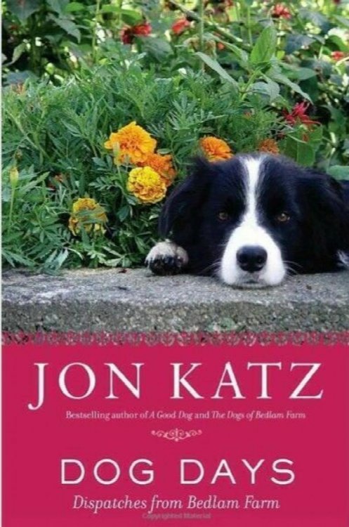 Dog Days: Dispatches from Bedlam Farm