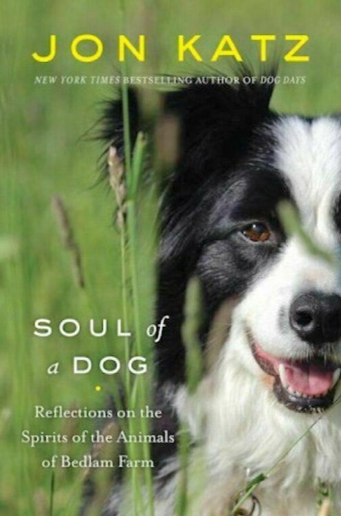 Soul of a Dog : Reflections on the Animals of Bedlam Farm