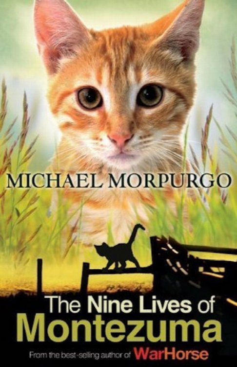 The Nine Lives of Montezuma