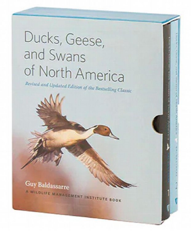 Ducks, Geese, and Swans of North America