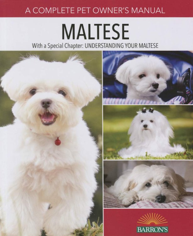 Maltese