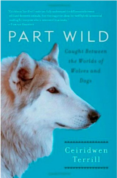 Part Wild : Caught between the Worlds of Wolves and Dogs