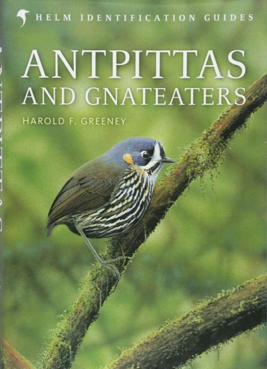 Antpittas and Gnateaters