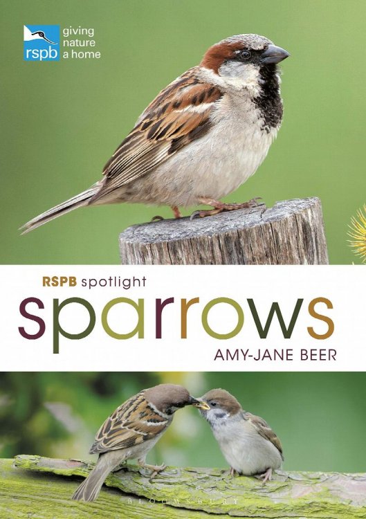 Sparrows