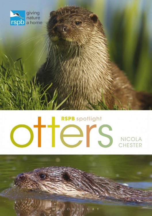 Otters : RSPB Spotlight