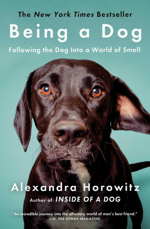 Being a Dog: Following a Dog Into a World of Smell