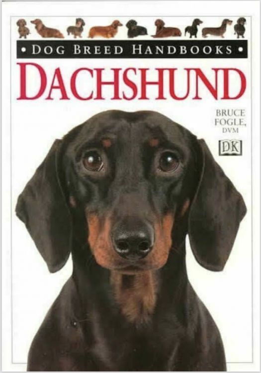 Dachshunds