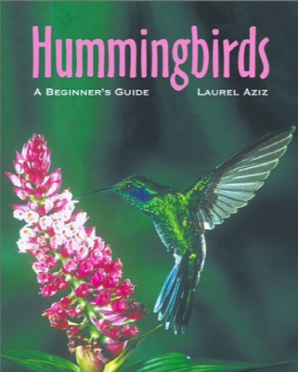 Hummingbirds: A Beginners Guide