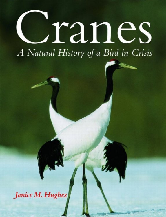 Cranes: A Natural History of a Bird in Crisis