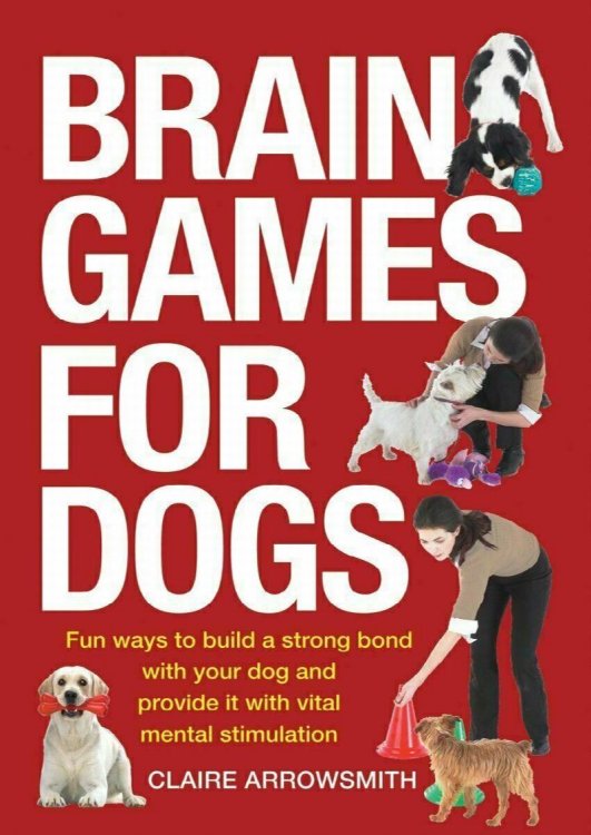 Brain Games for Dogs : Fun Ways to Build a Strong Bond with Your Dog