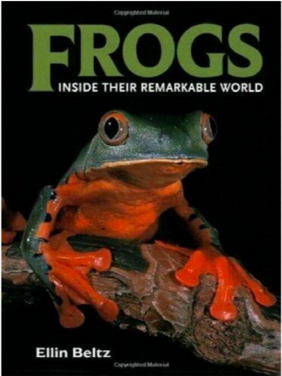 Frogs : Inside Their Remarkable World