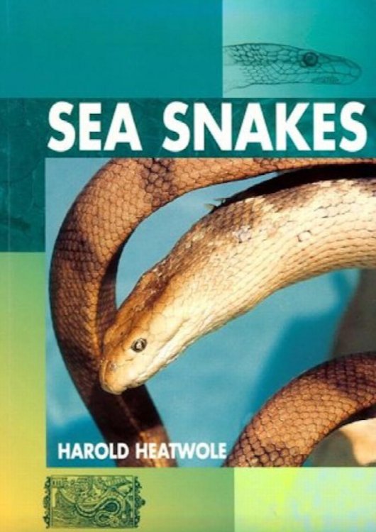 Sea Snakes