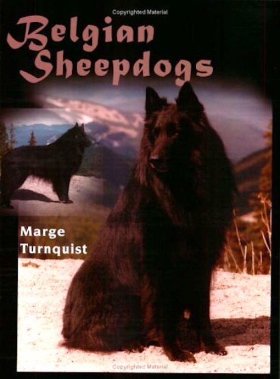 Belgian Sheepdogs
