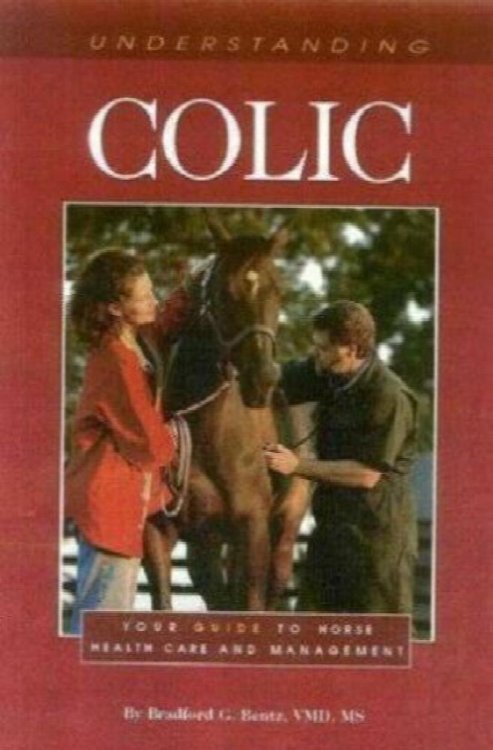 Understanding Equine Colic