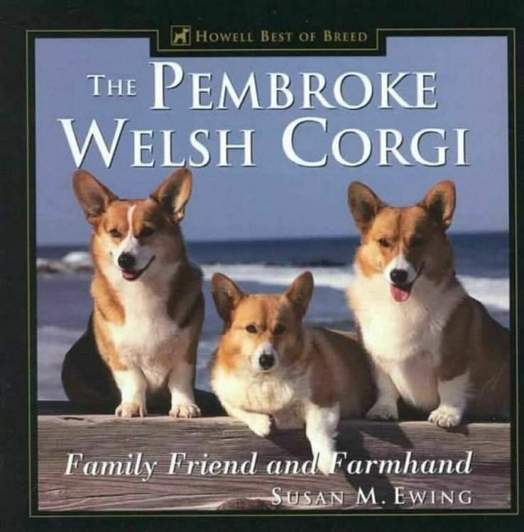 The Pembroke Welsh Corgi: Family Friend and Farmhand