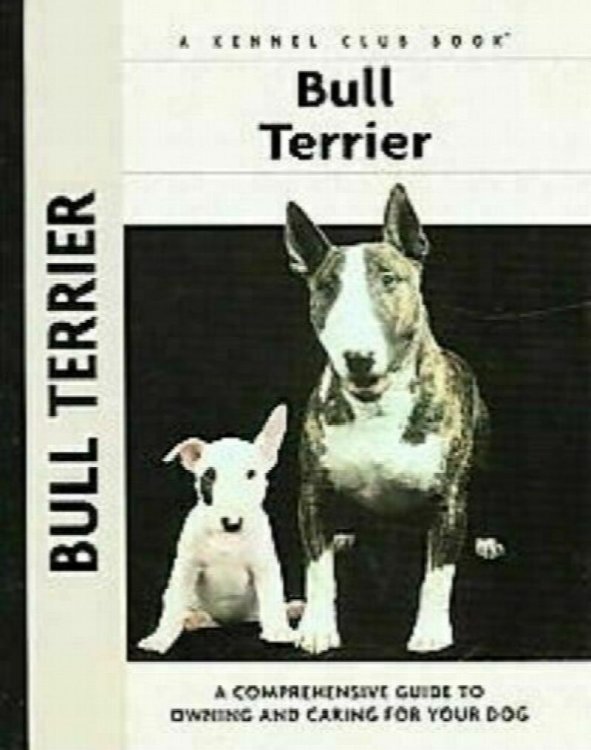 Bull Terrier