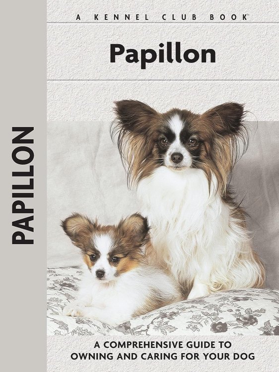 Papillon
